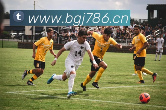 kaiyun登录入口APP 封面图